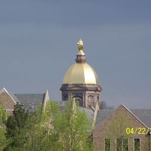 Meet your Posher, Frank